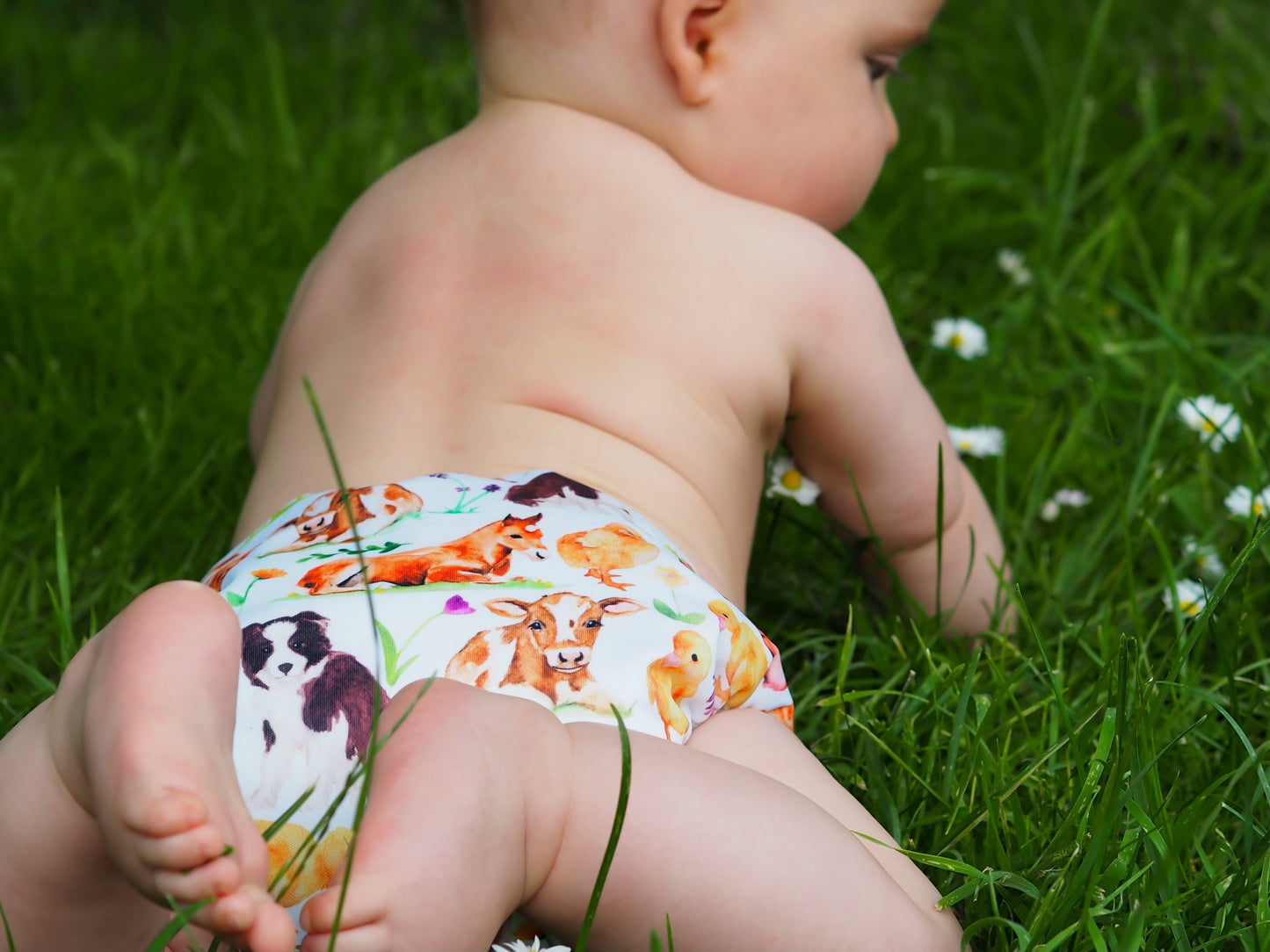 🌷 Spring Into Reusables